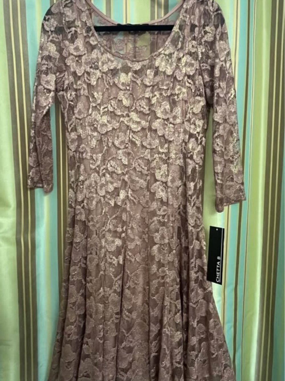 NWT Chetta B Dusy Rose Lace Slip Dress w/ Gold Shimmer Size 8